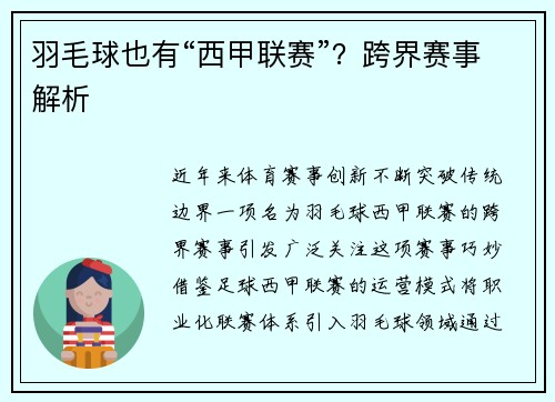 羽毛球也有“西甲联赛”？跨界赛事解析