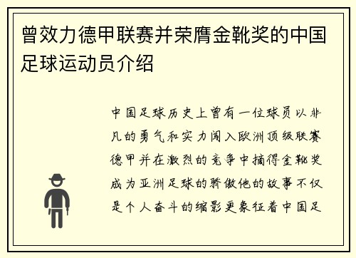 曾效力德甲联赛并荣膺金靴奖的中国足球运动员介绍