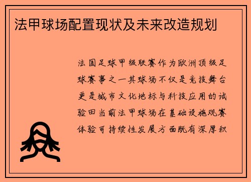 法甲球场配置现状及未来改造规划